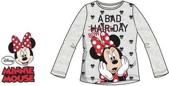 Disney Minnie Mouse longsleeve - grijs