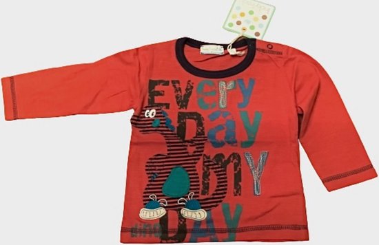Tricky Tracks t-shirt met lange mouw - Dinosaurus