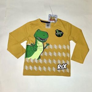Disney Toy Story  Jongens T-shirt