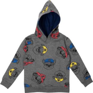 Paw Patrol Sweatshirt / Hoodie - Grijs