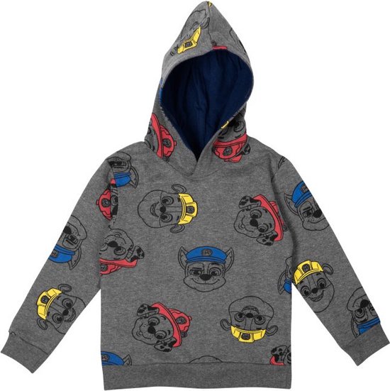 Paw Patrol Sweatshirt / Hoodie - Grijs