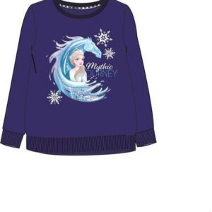 Disney Frozen 2 sweater Elsa en The Nokk - donkerblauw