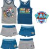 Paw Patrol Pyjama / Shortama - Adventure Awaits