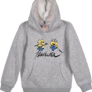 Minion sweater / hoodie - grijs