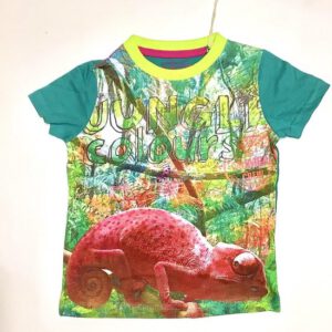 E-bound shirt - kameleon