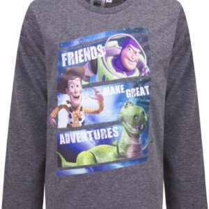 Disney Toy Story longsleeve grijs