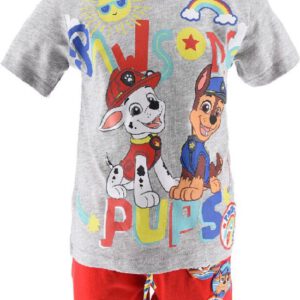 Paw Patrol set - Pawesome