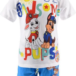 Paw Patrol Set - Pawesome