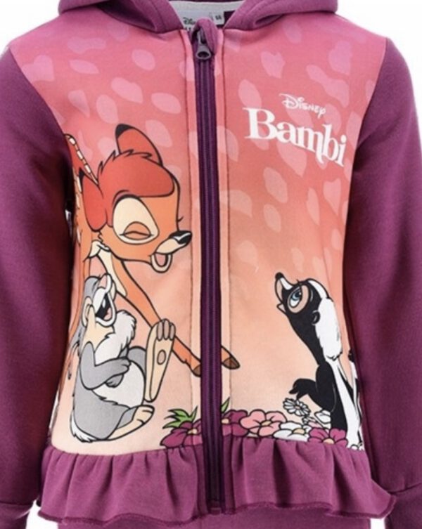 Disney Set / Joggingpak - Bambi en Stampertje