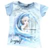 Frozen Shirt - Elsa en de Nokk