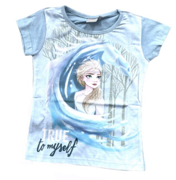 Frozen Shirt - Elsa en de Nokk