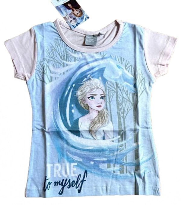 Frozen Shirt - Elsa en de Nokk
