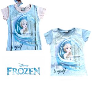 Frozen Shirt - Elsa en de Nokk